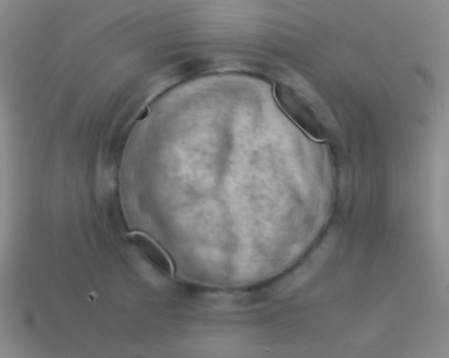 X0000113591185200910161836