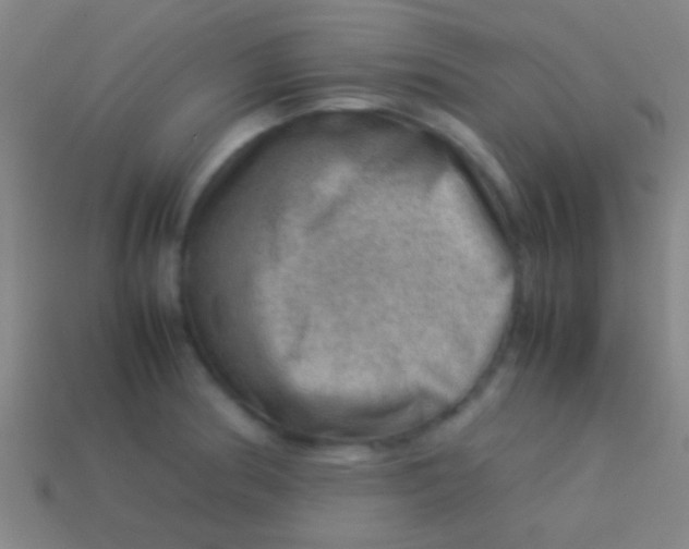 X0000113591186200910161836