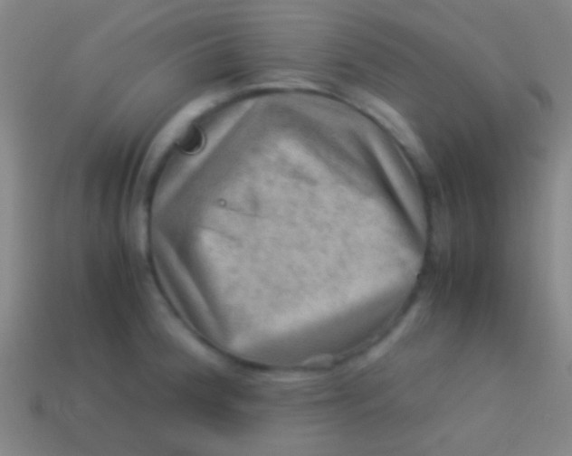 X0000113591188200910161836