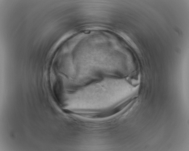X0000113591189200910161836