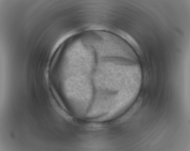 X0000113591190200910161836