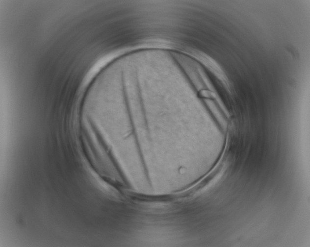 X0000113591192200910161836
