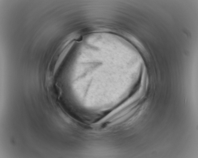 X0000113591193200910161836