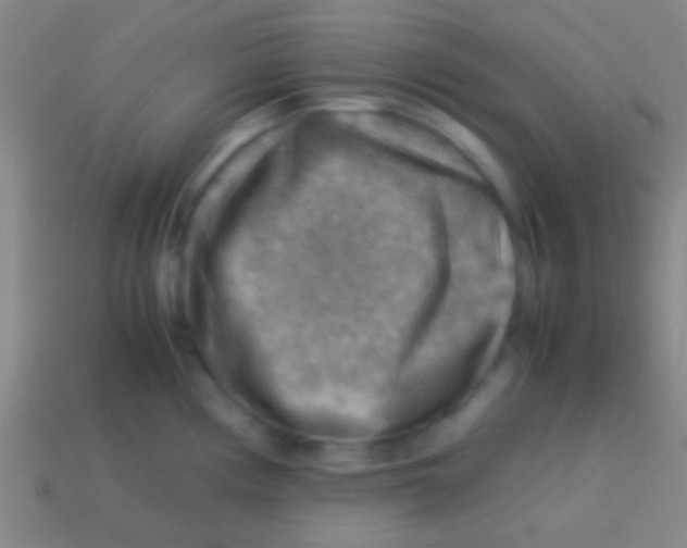 X0000113591194200910161836