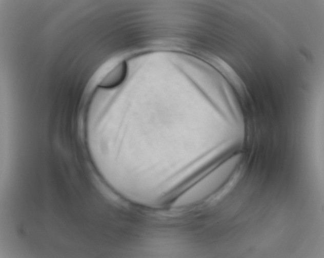 X0000113591196200910161836