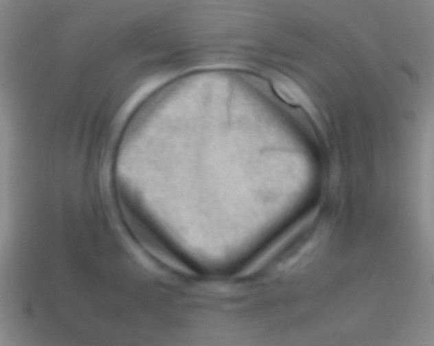 X0000113591197200910161836