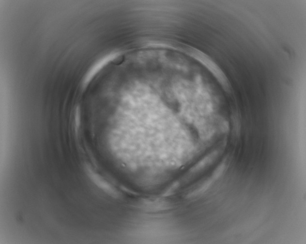 X0000113591198200910161836