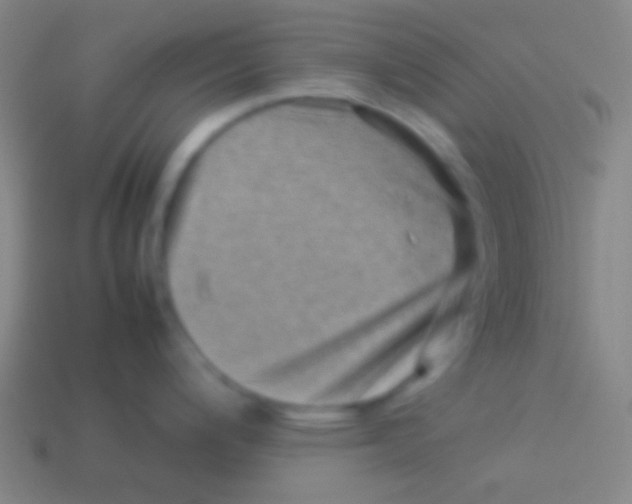 X0000113591200200910161836