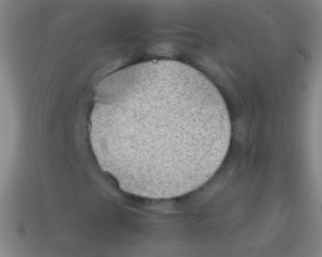 X0000113591201200910161835