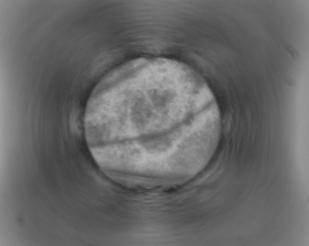 X0000113591202200910161835