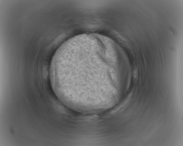 X0000113591204200910161835