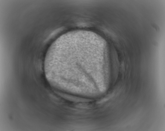 X0000113591205200910161835
