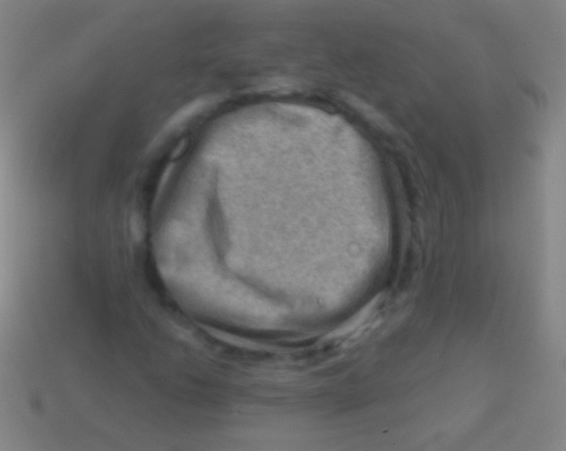 X0000113591206200910161835