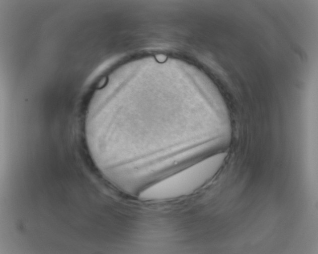 X0000113591208200910161835