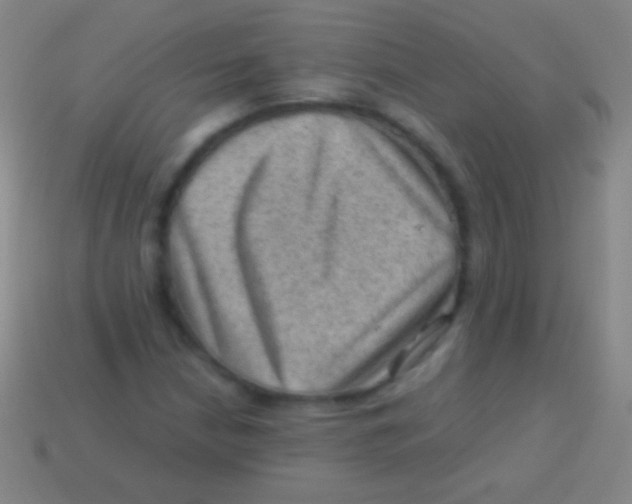 X0000113591210200910161835