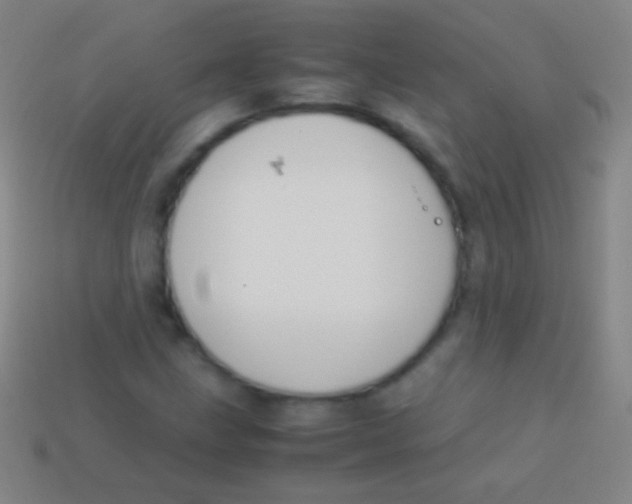 X0000113591211200910161835