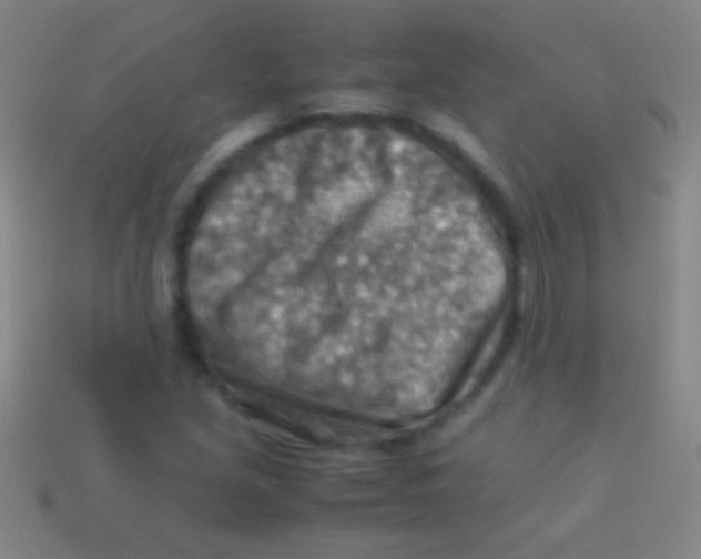 X0000113591213200910161835