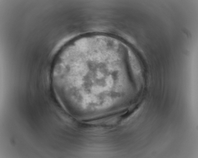 X0000113591214200910161835