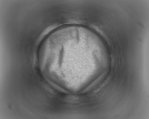 X0000113591215200910161835
