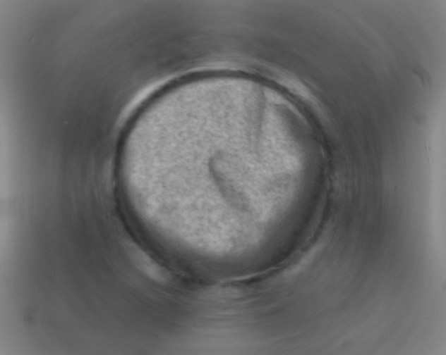 X0000113591216200910161835