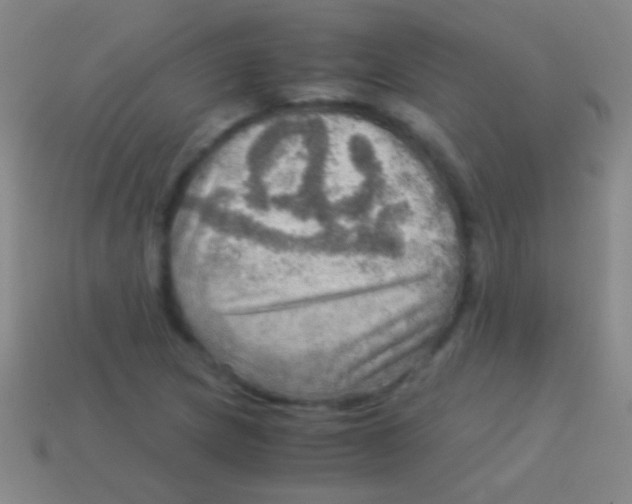 X0000113591217200910161835