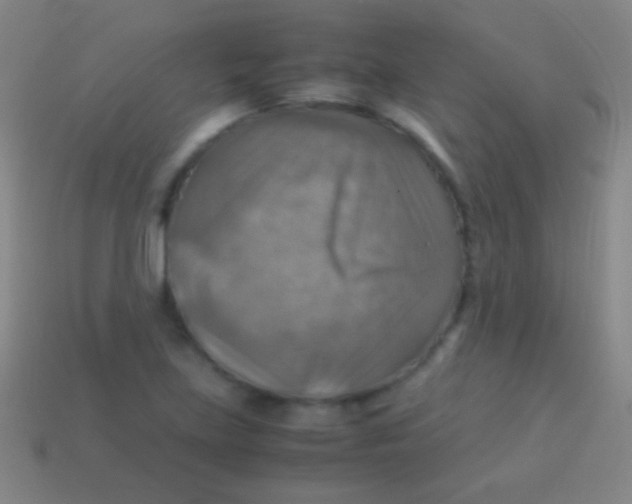 X0000113591219200910161835