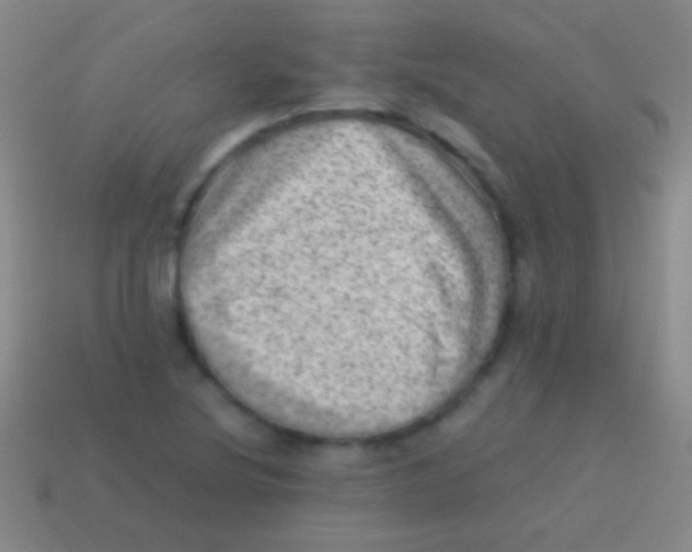 X0000113591220200910161835
