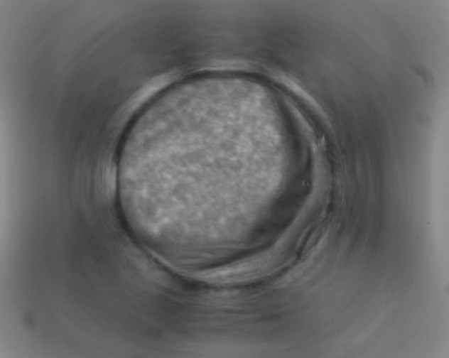 X0000113591221200910161835