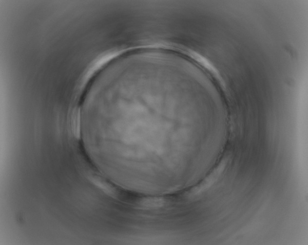 X0000113591223200910161835