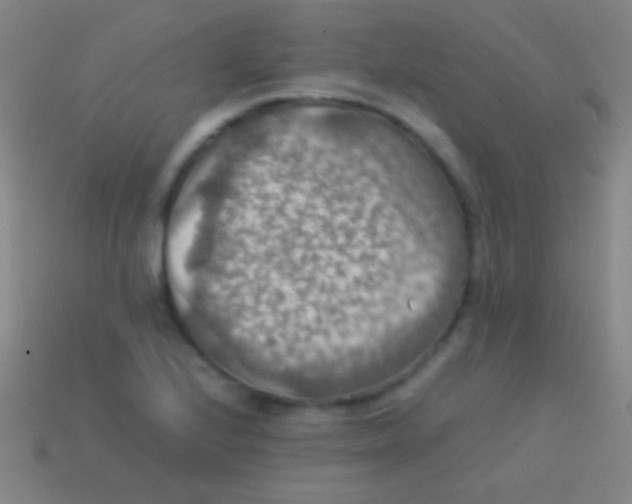 X0000113591224200910161835