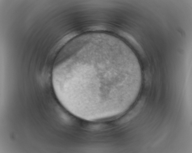 X0000113591225200910161835