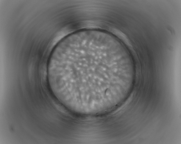 X0000113591226200910161835