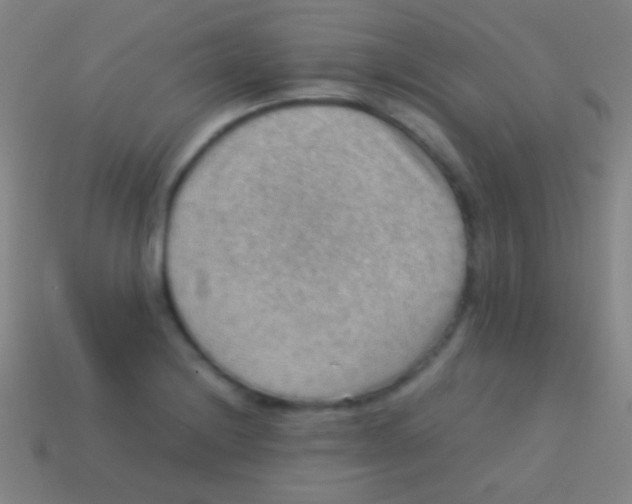 X0000113591228200910161835