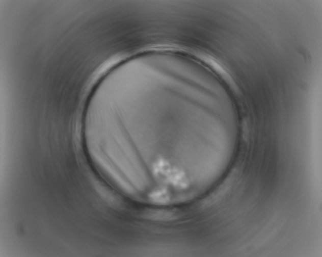 X0000113591229200910161835