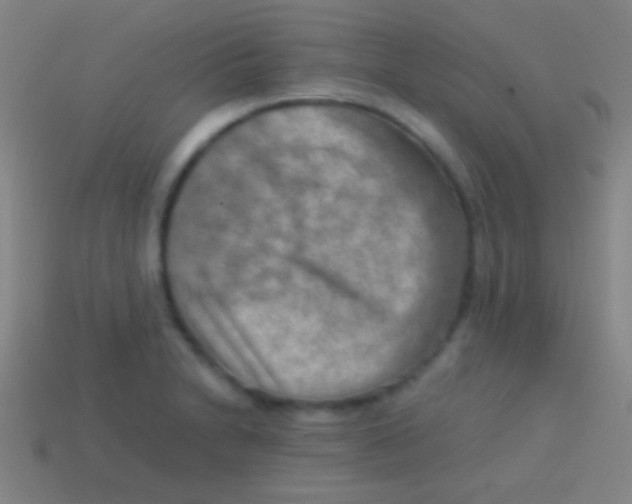 X0000113591230200910161835