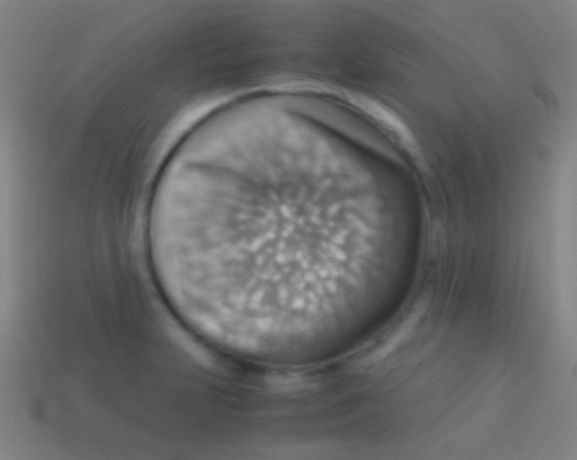 X0000113591231200910161835