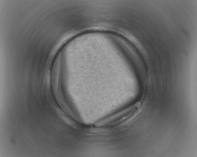 X0000113591232200910161835