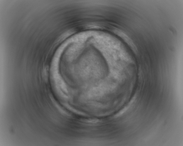 X0000113591233200910161836