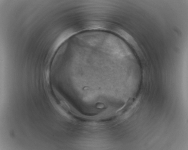 X0000113591234200910161836