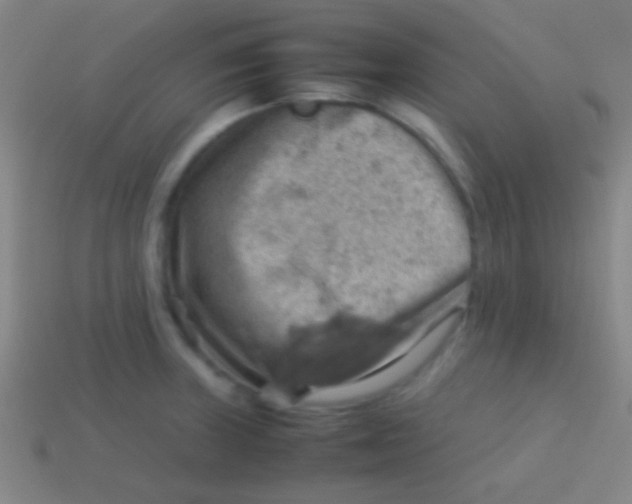 X0000113591235200910161836