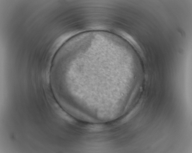 X0000113591236200910161836
