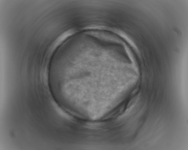 X0000113591237200910161836