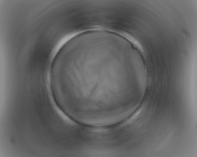 X0000113591239200910161836