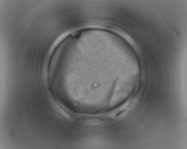 X0000113591240200910161836