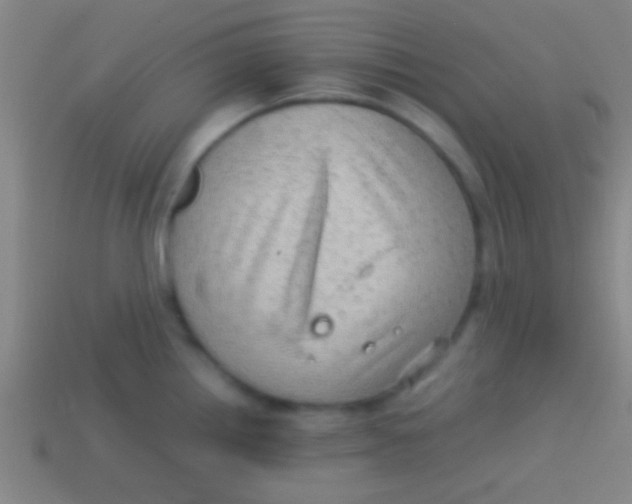 X0000113591242200910161836