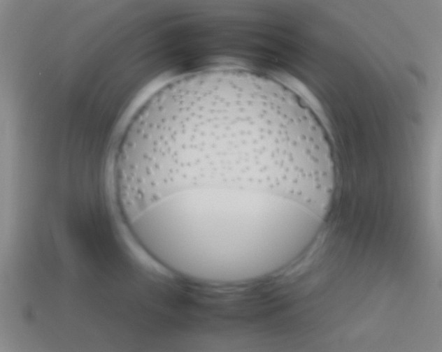 X0000113591243200910161836
