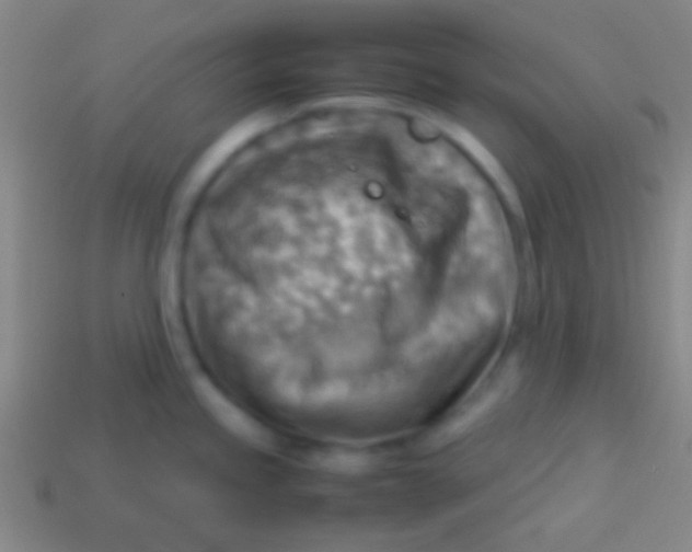 X0000113591245200910161836