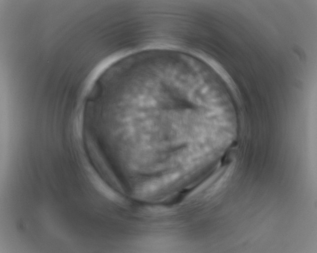 X0000113591246200910161836