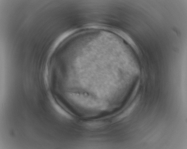 X0000113591247200910161836