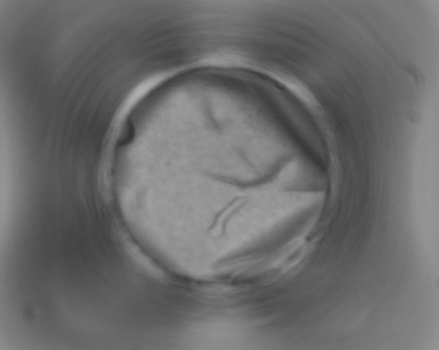X0000113591248200910161836